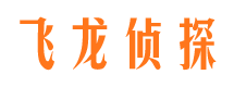 安庆市调查公司